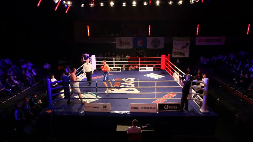 MOSCOW - JANUARY 08: Boxing match of I.Ismailov KREMLIN BEARS Russia vs F.Khrgovich PARIS UNITED France in hall BARVIKHA LUXURY VILLAGE, January 08, 2011 in Moscow, Russia. 