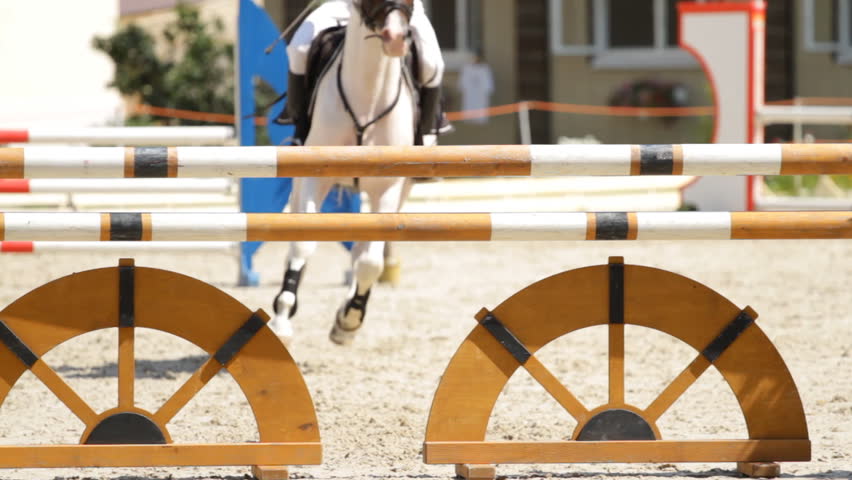 equestrian show jumping