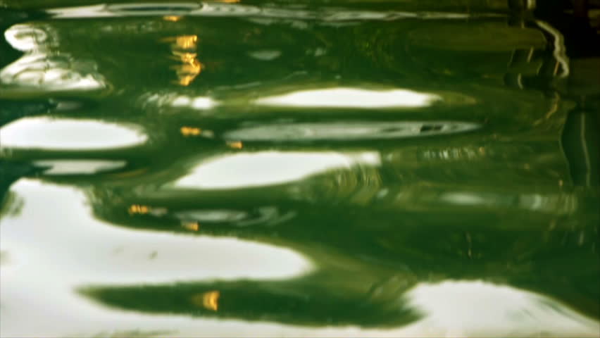 Fluctuation of water in  old city park pond.