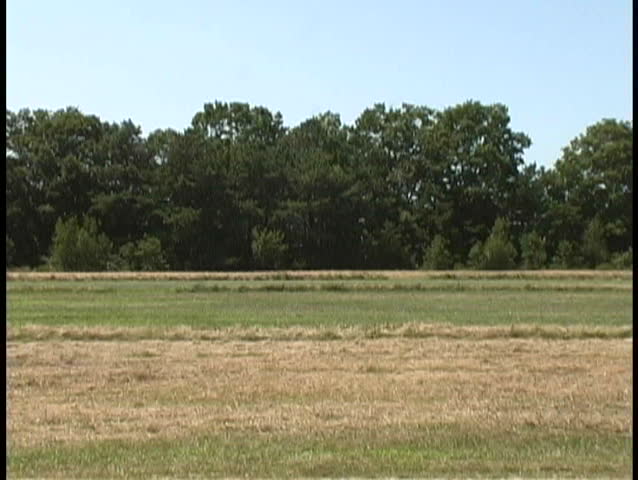 Airplane antique vintage old plane aviation warbird fly pilot landing takeoff take off aviator bi biplane Cessna stearman cub piper museum bird wing flying taxi military aerial flight