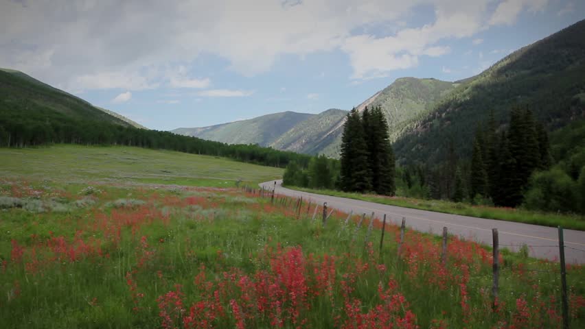 (1269) Beautiful Summer High Mountain Wilderness Landscape with Meadow of Wildflowers and Country Road - Aspen Colorado