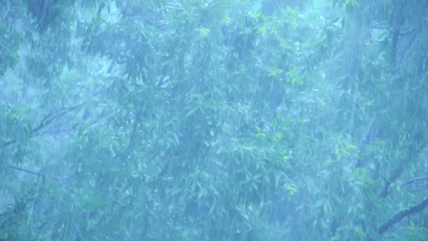 Downpour of rain during a thunder storm