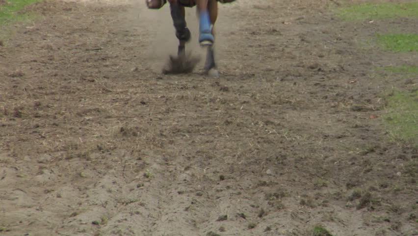 Closeup slow motion of horse during a competition