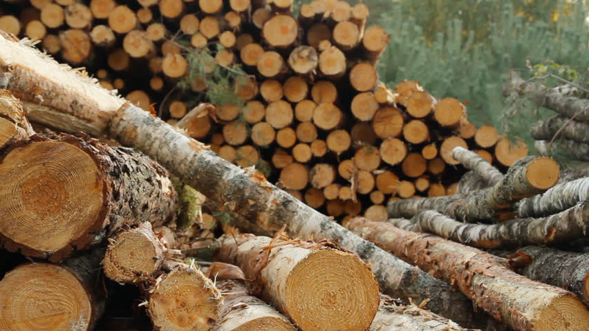 Sawn timber