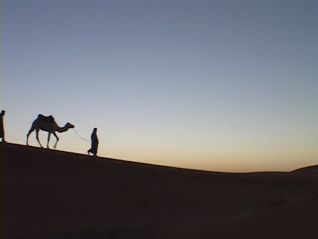 A camel train travels across a desert.