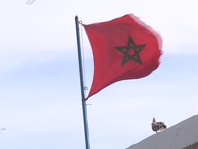 Flag of Morocco on the wind 