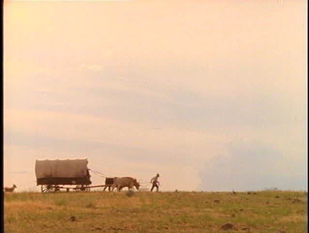 Pioneers walk with livestock and covered wagons across a prairie.