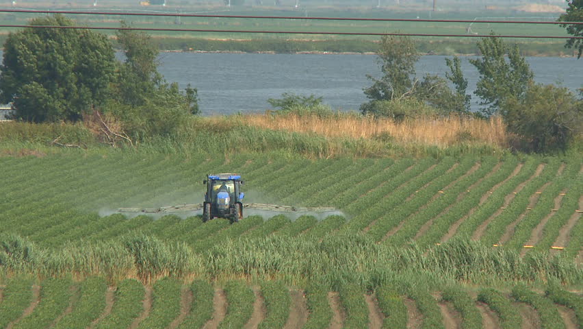 Tractor spraying field