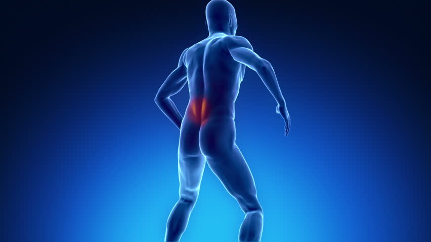 Backache in x-ray view