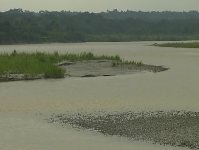 Rio Napo, a tributary of the Amazon
