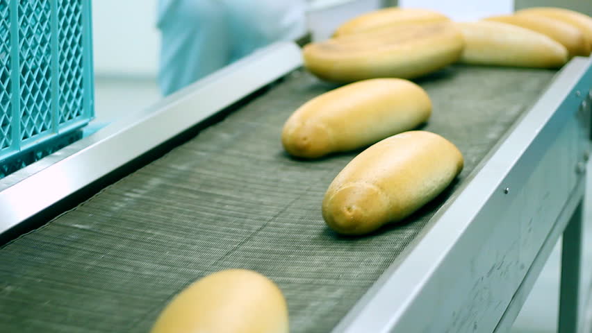 Putting baked bread into plastic crates for the retail. HD 1080i.