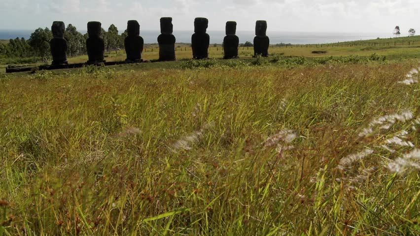Grass blows in front of the Easter Island statues.