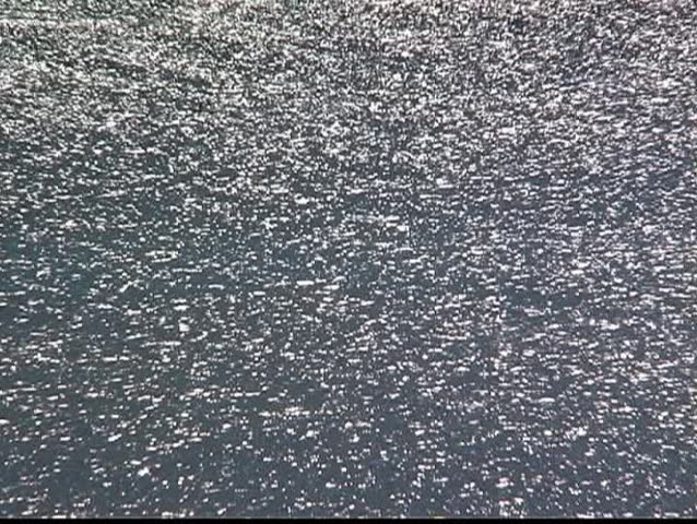 Glistening sea at afternoon