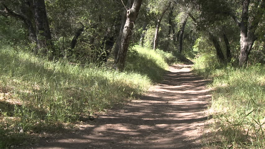 Man trail running in the forest on the Ventura River Preserve in Ojai, California.