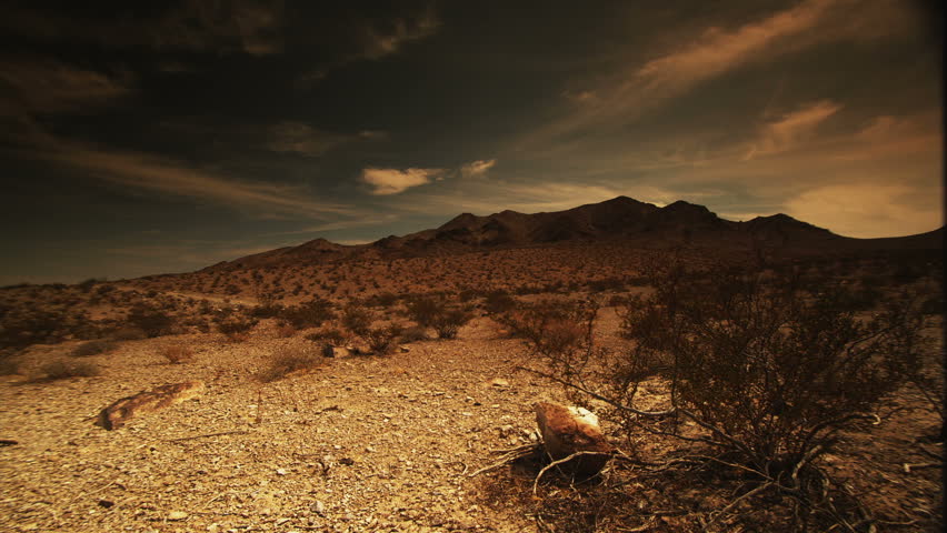 Desert vista at midday