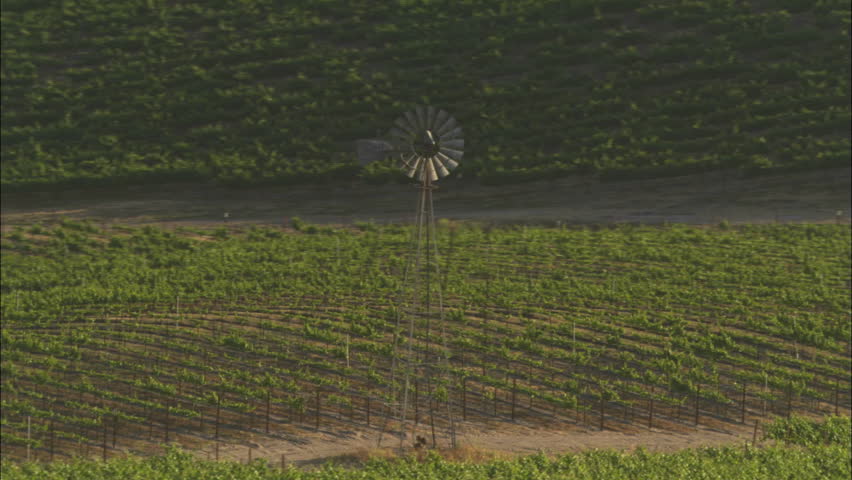 Helicopter low level aerial of Santa Barbara County vineyards, California.