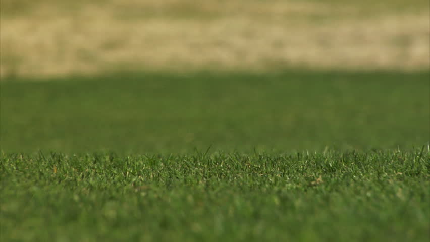 Golf Ball Landing