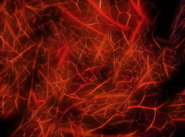 Flying through red oraganic world