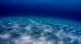 Underwater scene with sun rays shining through the water's surface