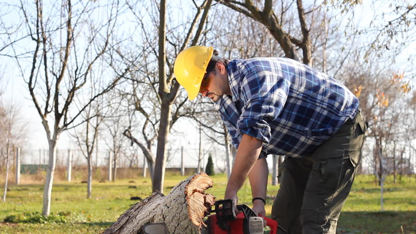 Man cutting wood with electric saw
