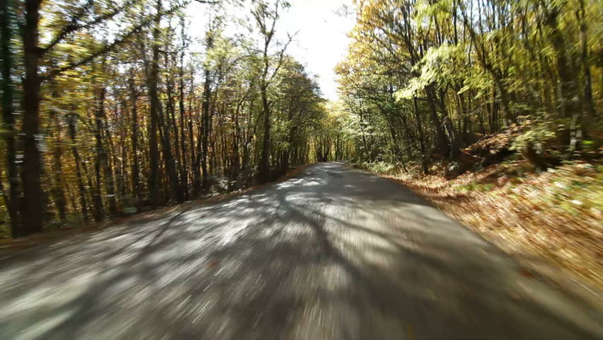 Driving along mountain road in autumn to Ai-Petri, Crimea, Ukraine