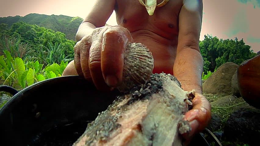 food prep of a plant root for eating