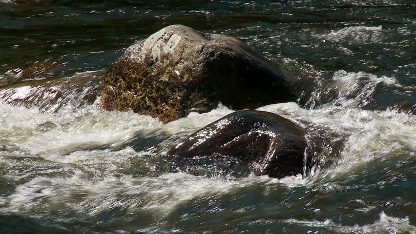 Rocky river in springtime forest