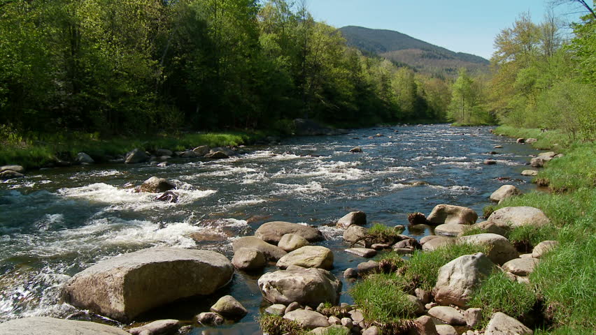 Rocky river in springtime forest