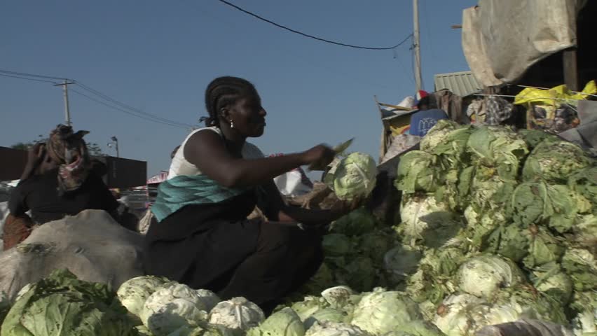 PORT-AU PRINCE, HAITI - CIRCA 2010: a woman prepping cabbages circa 2010 in Haiti.