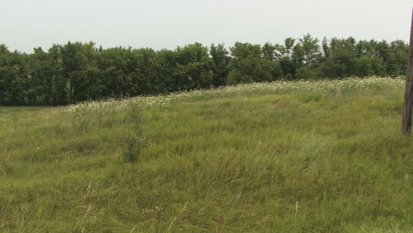 Pan across open field to single household