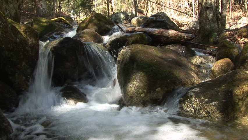 Stream takes multiple routes past boulders