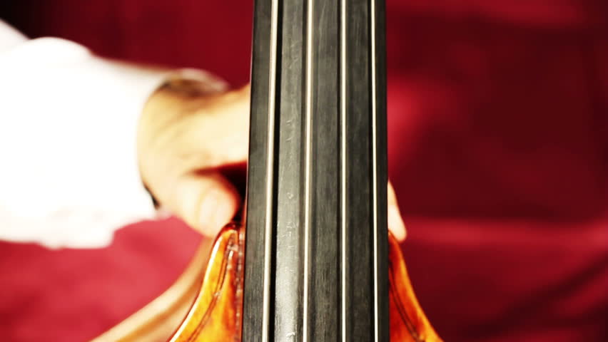 Musician and Double Bass holding instrument tilts