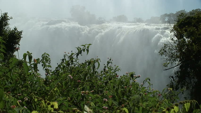 Victoria Falls to Flower Zoom-In, Zambia