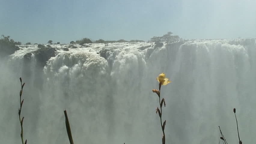 Zoom-In: Victoria Falls and Flower