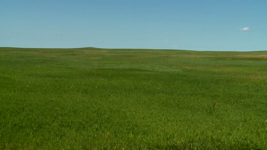 grasslands video