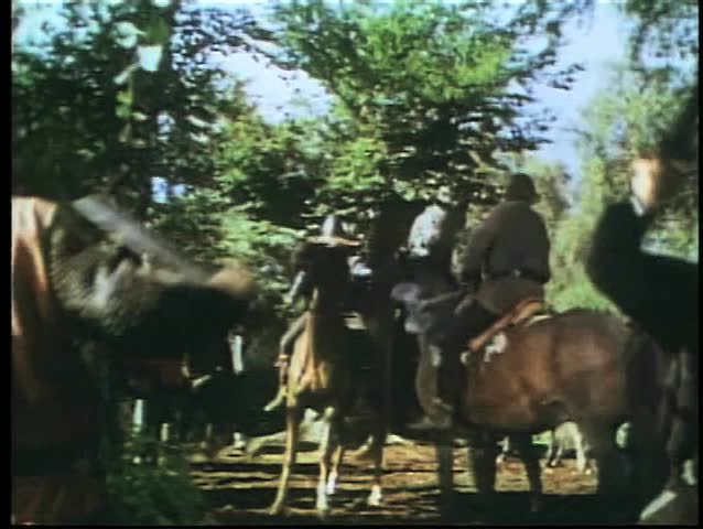 Medieval sword fight in forest