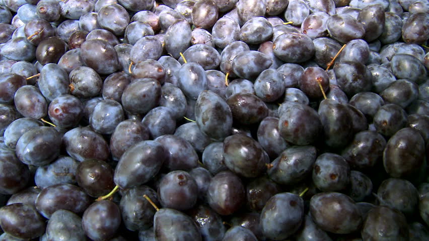 Plums in barrels