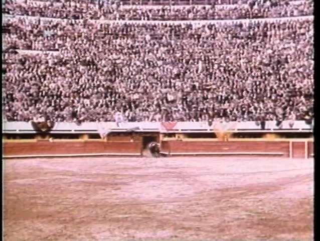Wide shot of bull running around empty bullfighting ring