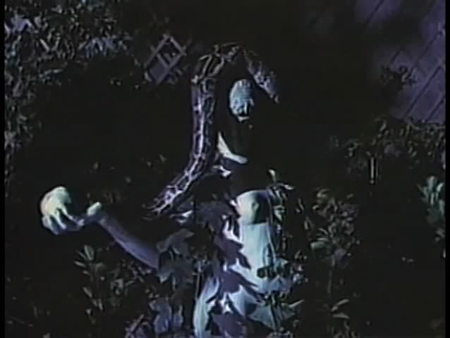 Boa constrictor knocking off statue's arm