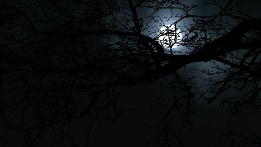 Full moon flowing past bare leafless tree