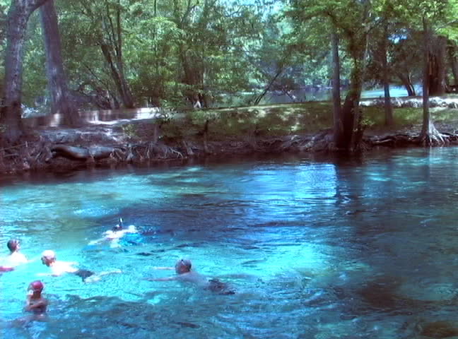 Swimmers and snorkelers enjoy the crystal clear water of Ginnie Spring in High Springs, Florida.