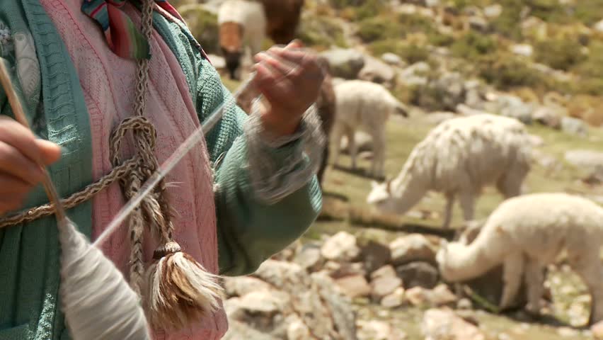 Farmer spinning yarn while sheep graze
