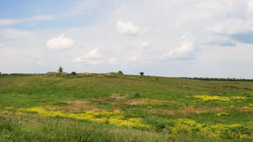 Ukrainian wildlife preservation, (reserve Stone mogyla) 