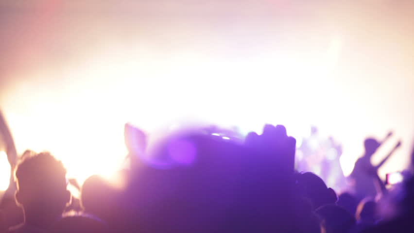 Footage of a crowd partying at a rock concert