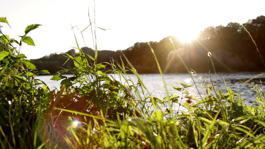 Shot of a lake scenic in summer, slide move