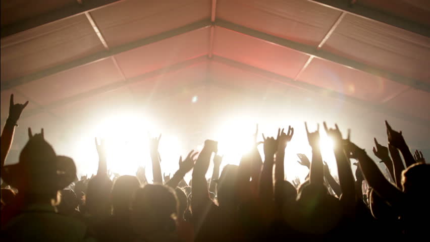 Footage of a crowd partying at a rock concert