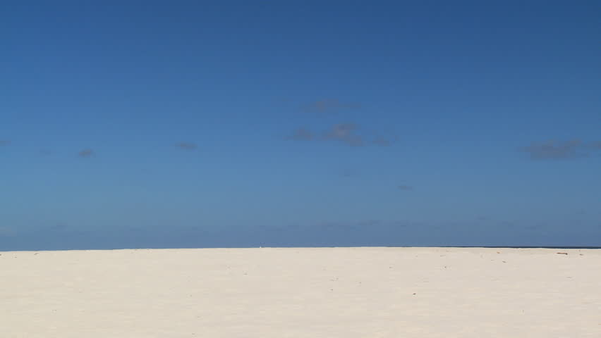 sporty woman running barefoot on sandy beach