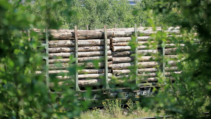 Freight train with lumber   