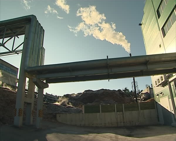 Evaporate vapor from mountains of sawdust, heat supply pipelines and smoky fumes from boiler chimney
