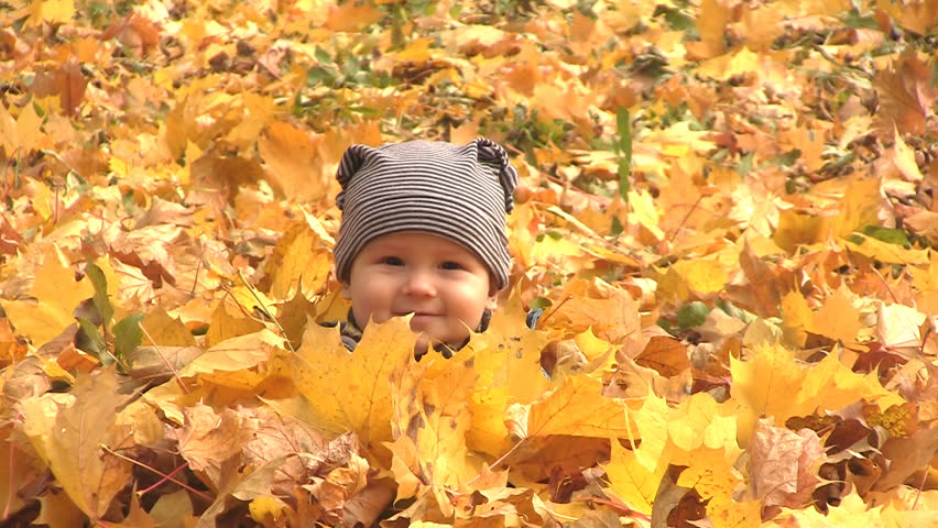 6 months boy sits surrounded by autumn leaves and one leaf falls on him